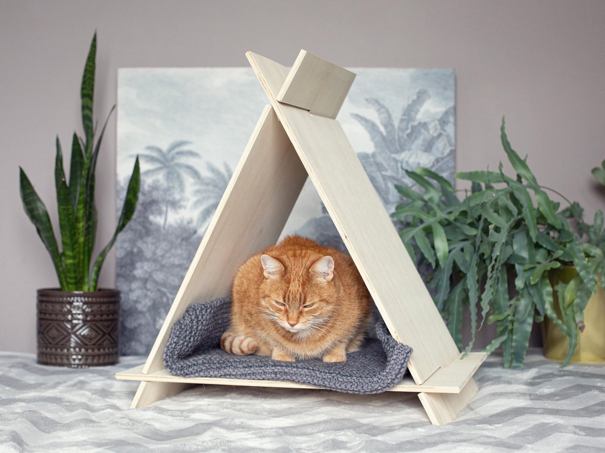 Teepee | Tipi | Playhouse | Cat | Rabbit