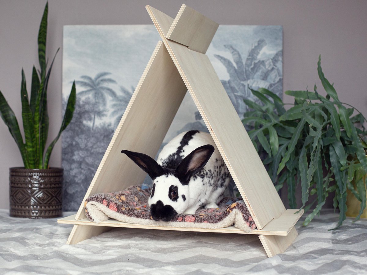Teepee | Tipi | Playhouse | Cat | Rabbit