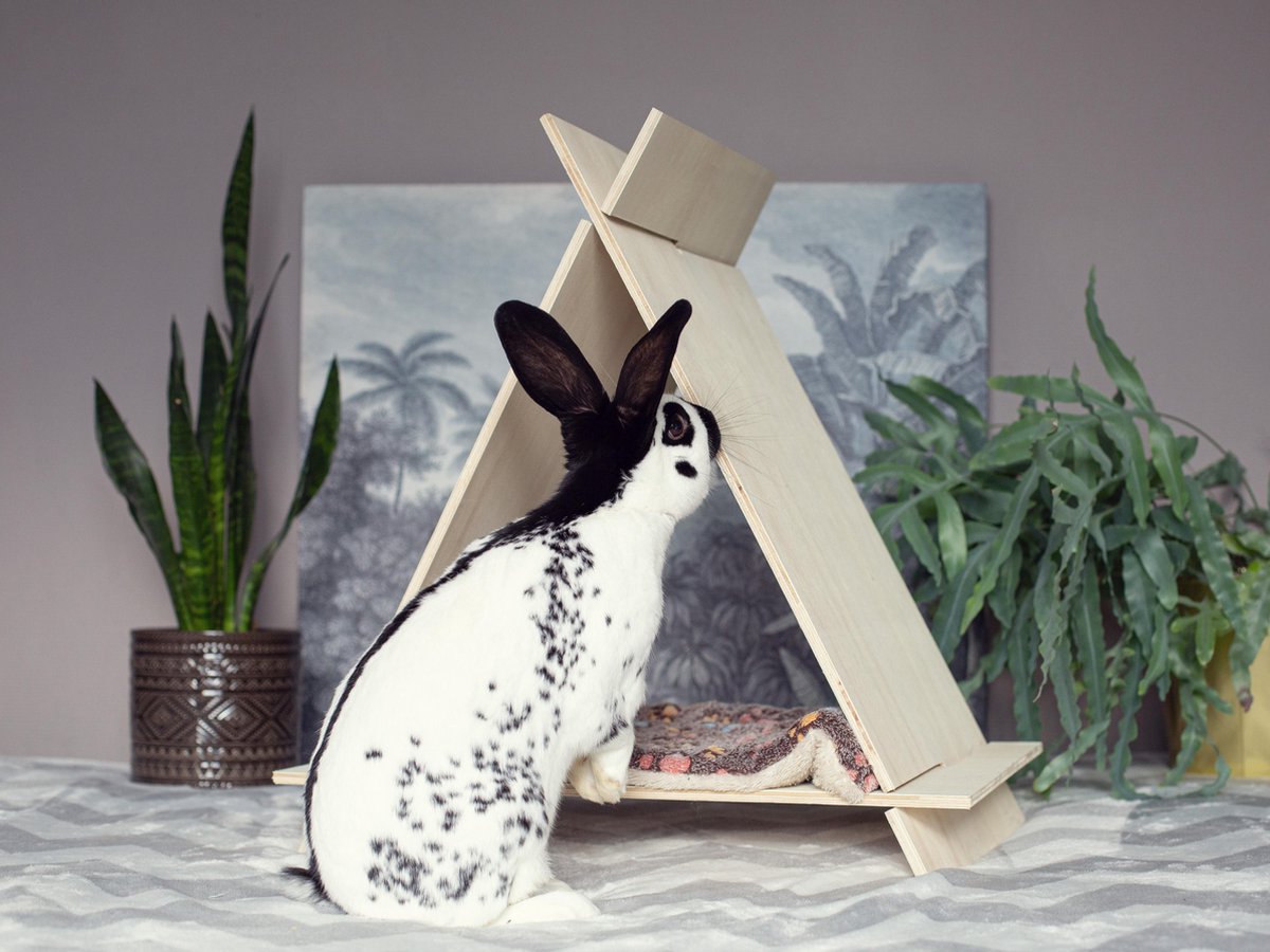 Teepee | Tipi | Playhouse | Cat | Rabbit