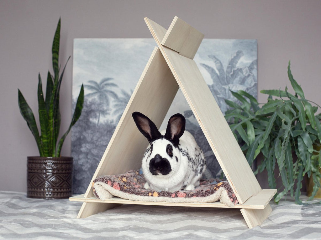Teepee | Tipi | Playhouse | Cat | Rabbit
