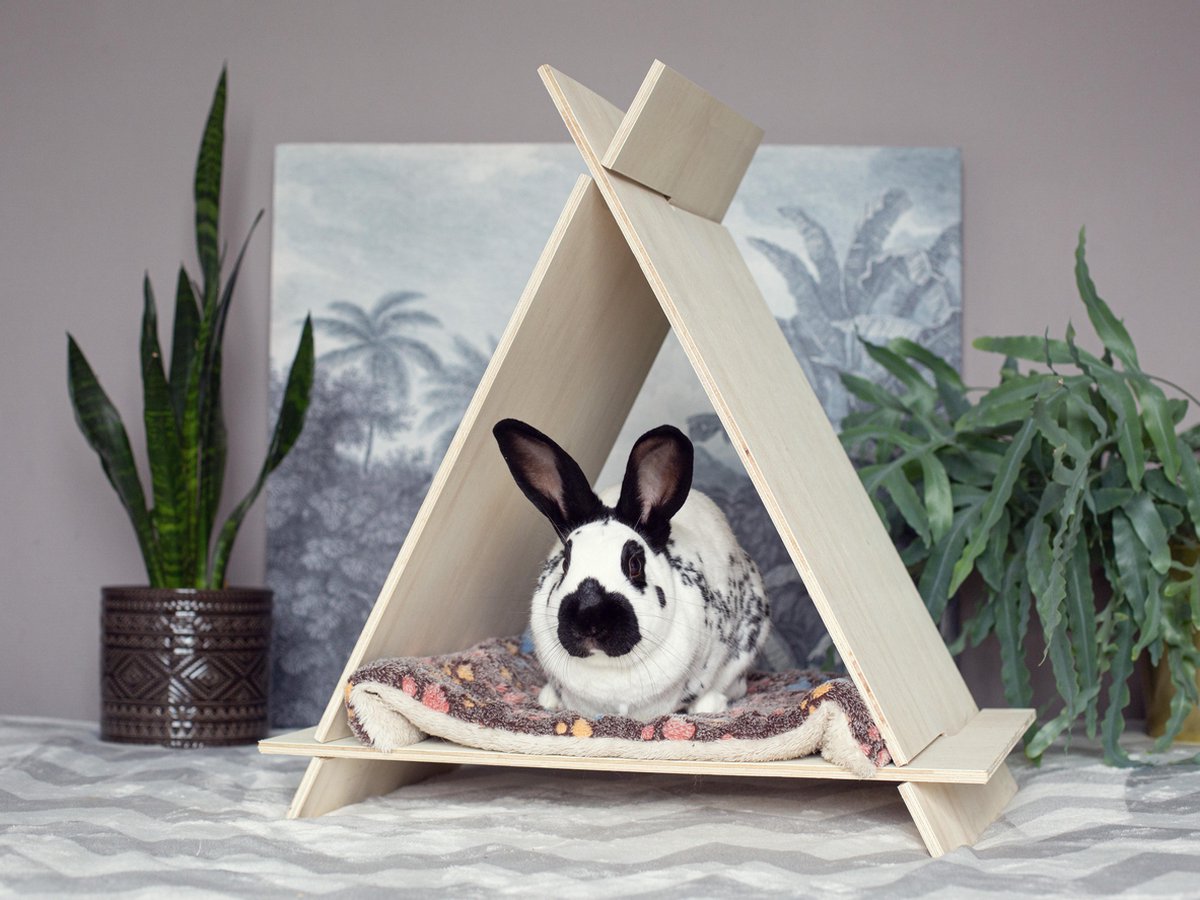 Teepee | Tipi | Playhouse | Cat | Rabbit