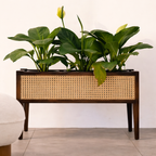 Mid-Century Walnut Wood Planter with Cane Panel-Walnut