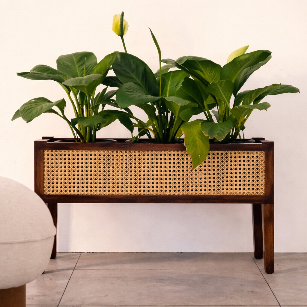 Mid-Century Walnut Wood Planter with Cane Panel-Walnut