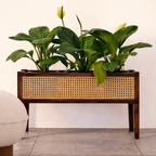 Mid-Century Walnut Wood Planter with Cane Panel-Walnut