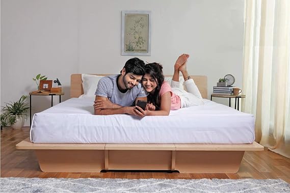 Sleepwell Queen Engineered Wood Platform Bed with Storage - (Oak)