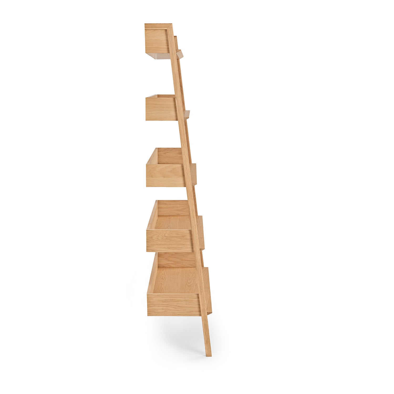 Fantol 51.5" Shelving Unit