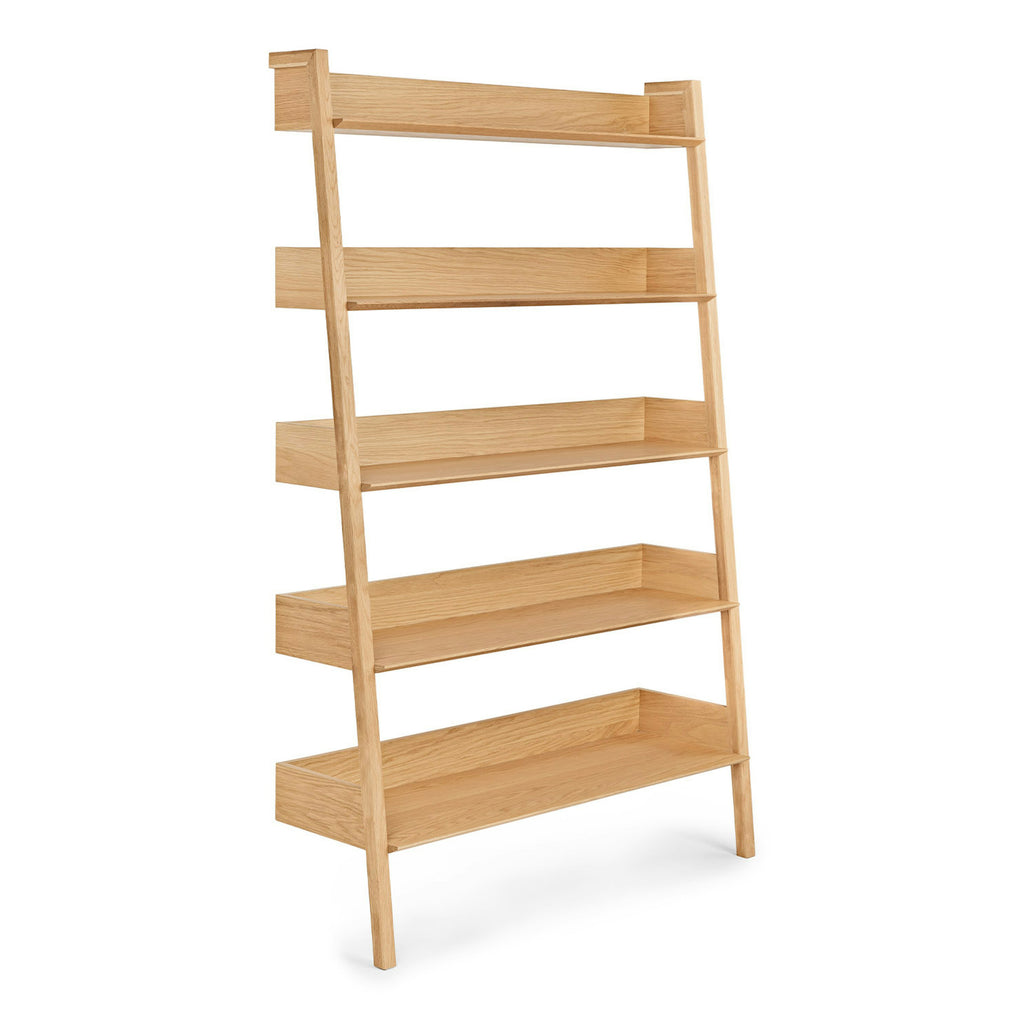 Fantol 51.5" Shelving Unit