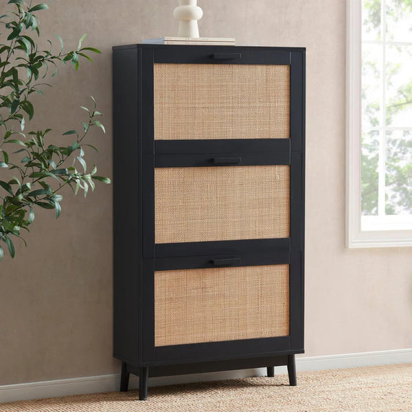 Canora Shoe Cabinet